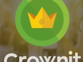crown-it-300x287