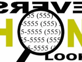 Reverse-Phone-Search-2