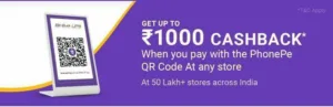 Phonepe Scan & Pay