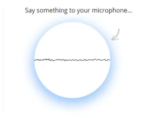 Online mic and Webcam Testers