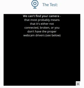 Online mic and Webcam Testers