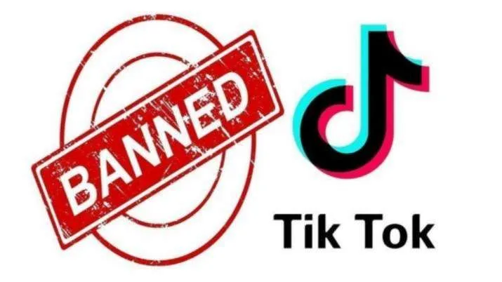 Made In India Apps Like TikTok | Top 7 Video Sharing Apps