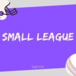 How To Win Fantasy Cricket Leagues in Dream11 & Other Fantasy Sports Apps 2