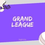 How To Win Fantasy Cricket Leagues in Dream11 & Other Fantasy Sports Apps 4