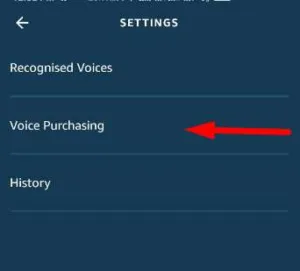 How To Make Recharge or Bill Payment Using Alexa | Set Voice Pin 4