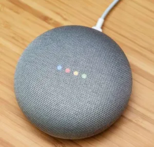 Google Home Mini