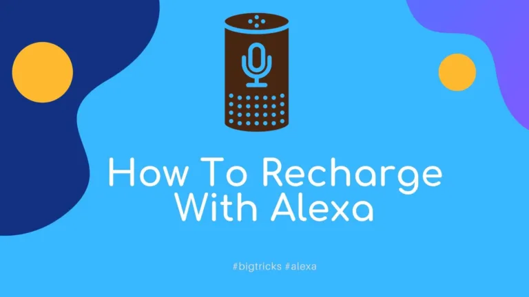 How To Make Recharge or Bill Payment Using Alexa | Set Voice Pin