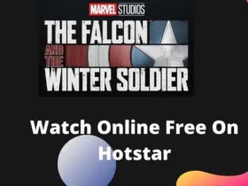 How To Watch "The Falcon and The Winter Soldier" For Free on Disney+ Hotstar 31 disney hotstar