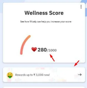 Wizely app referral code