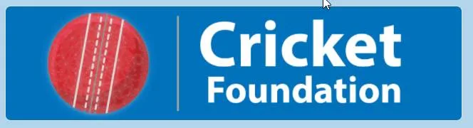 Cricket Foundation Airdrop : Free $20 Worth CRIC Tokens From Airdrop