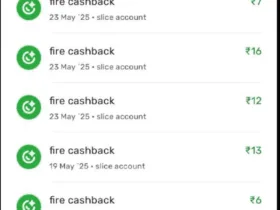 Ram Mandir First Day Prasad