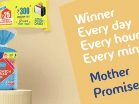 Ram Mandir First Day Prasad