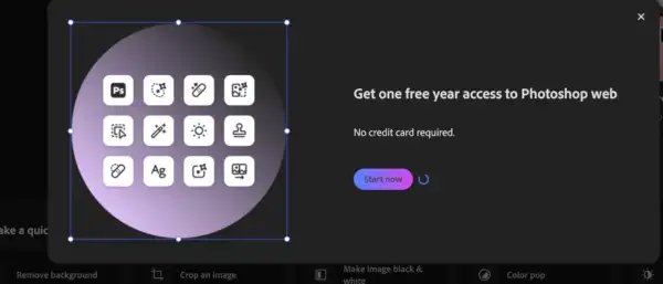 Get 12 Months Free Access To Adobe Photoshop Web 1 Adobe Photoshop Web